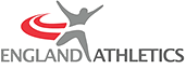 Stava Logo